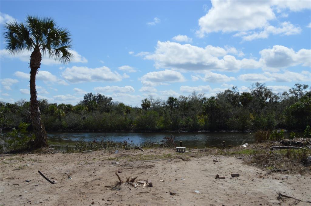 A sandy waterfront lot features a single palm tree overlooking a narrow river and woods — 7023 PAYNE AVENUE, GIBSONTON, FL