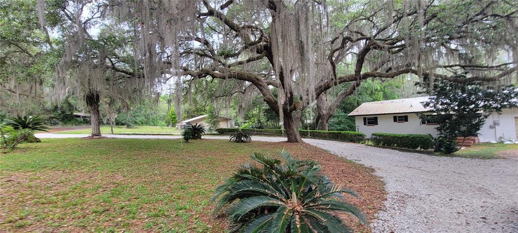 141 SE 59TH STREET, KEYSTONE HEIGHTS, FL — photo 4 of 30