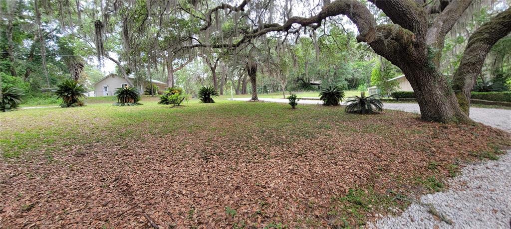 141 SE 59TH STREET, KEYSTONE HEIGHTS, FL — photo 5 of 30