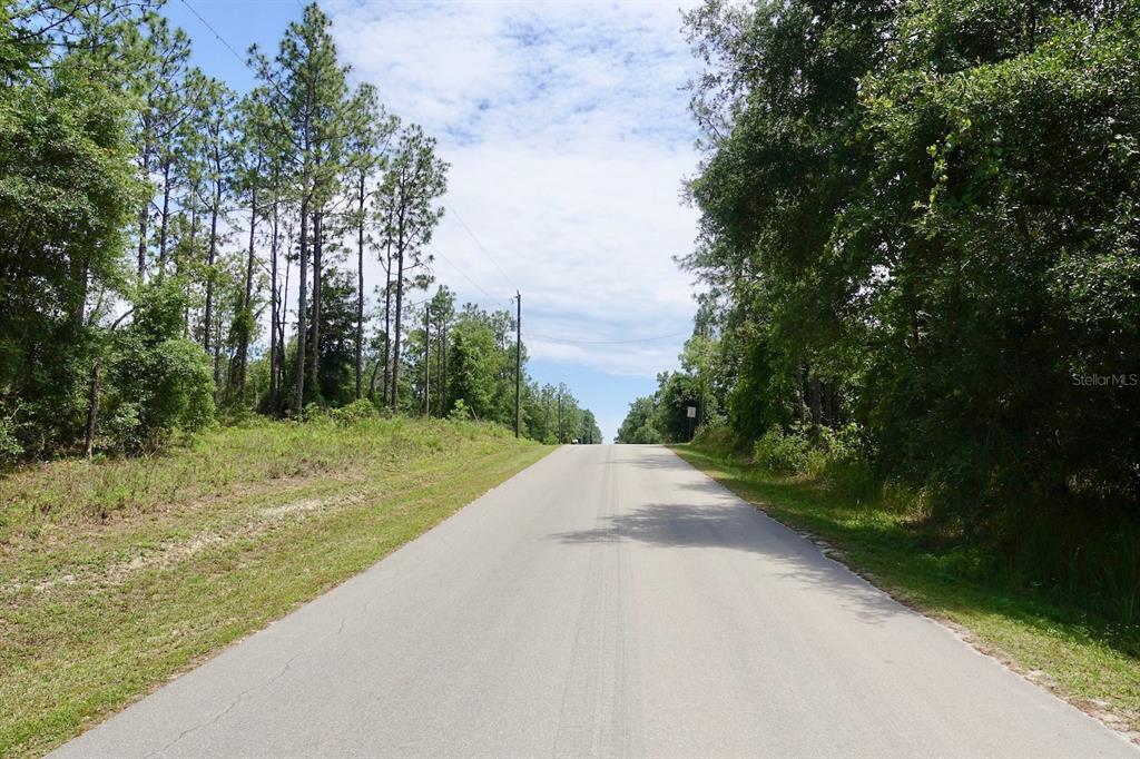 A paved road stretches uphill between wooded areas under a partly cloudy sky — SW 38th Street & SW 159 COURT, OCALA, FL