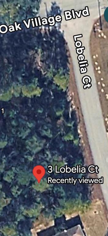 3 LOBELIA COURT, HOMOSASSA, FL — photo 2 of 5