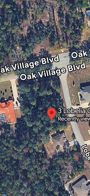 3 LOBELIA COURT, HOMOSASSA, FL — photo 3 of 5