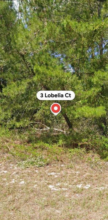 3 LOBELIA COURT, HOMOSASSA, FL — photo 5 of 5