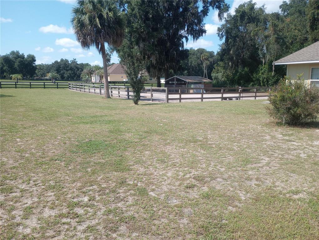 A grassy backyard features a fenced-in riding arena and a small shed under large trees — 13300 NE 38TH AVENUE, ANTHONY, FL