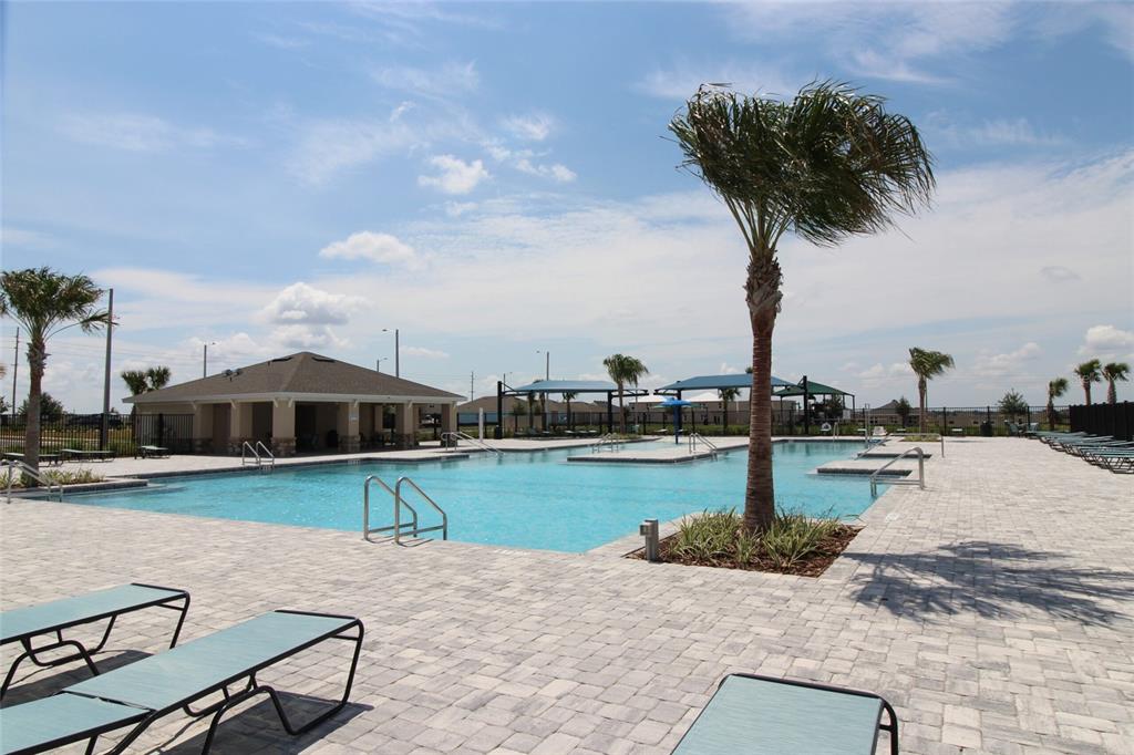 A swimming pool with lounge chairs and a palm tree on a paved deck — 2315 SELENIA STREET, LAKE ALFRED, FL