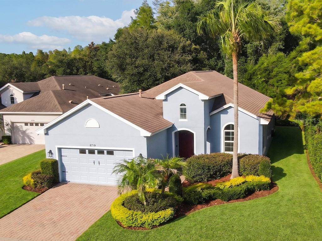 An aerial view of a light blue single-story house with a brown roof and palm tree — 8710 PRESTON WOODS COURT, LAND O LAKES, FL