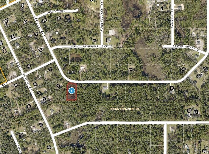 This is an aerial map showing a highlighted vacant lot within a residential subdivision — APRICOT AVENUE, EUSTIS, FL