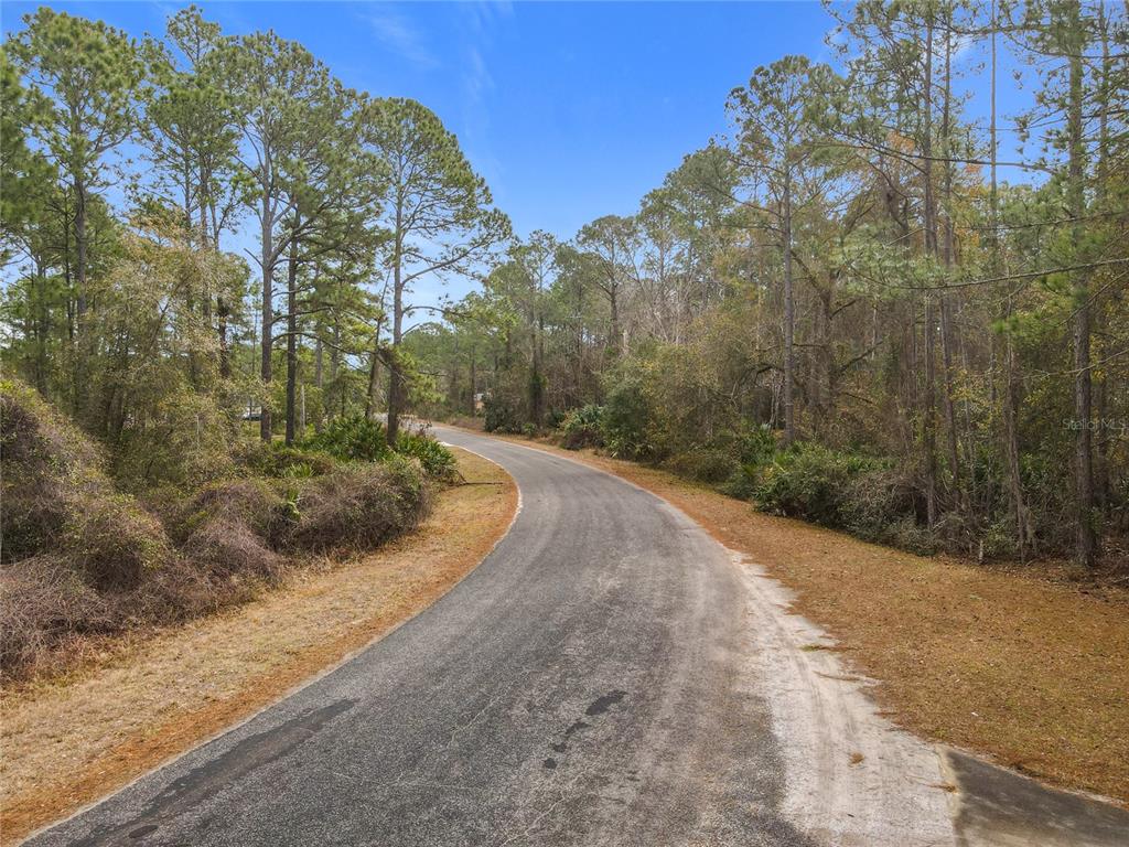 A paved road curves through a wooded area with tall pine trees and natural vegetation — APRICOT AVENUE, EUSTIS, FL