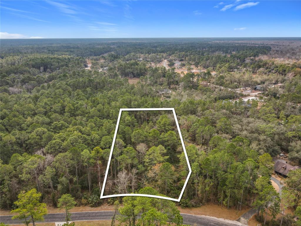 An aerial view shows a wooded, trapezoidal plot of land bordered by a paved road — APRICOT AVENUE, EUSTIS, FL