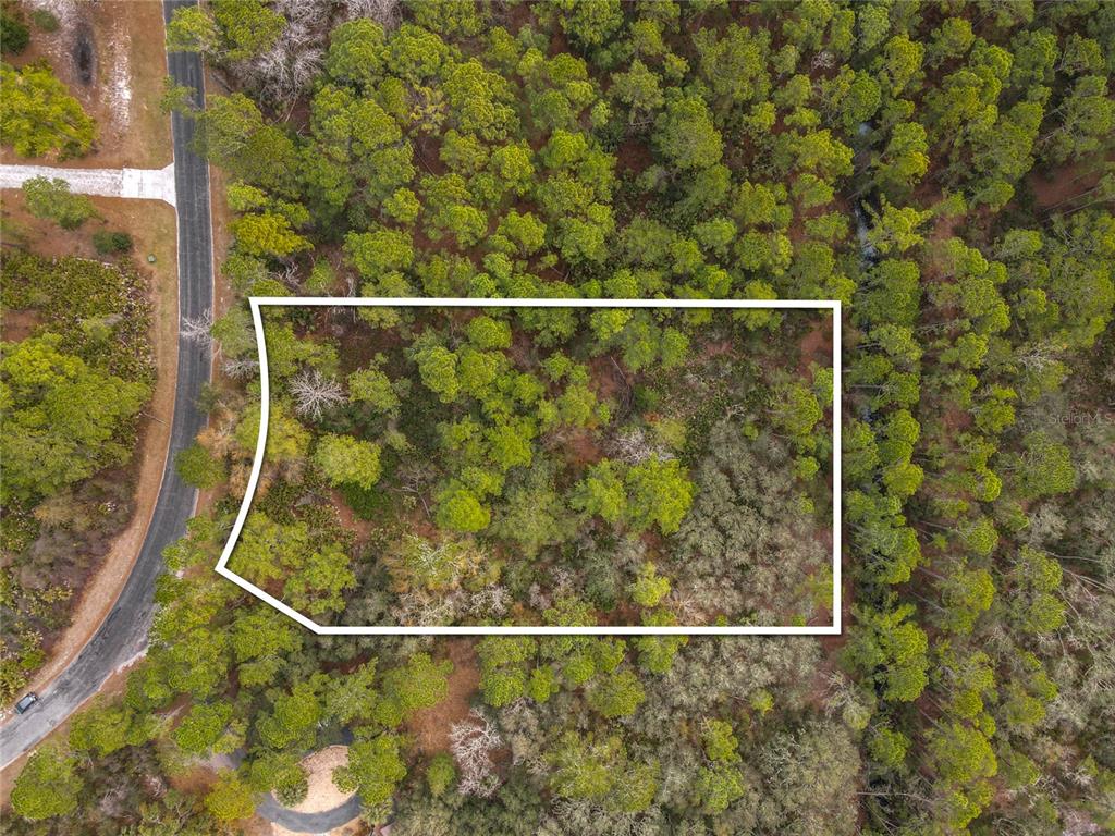 An aerial view shows a rectangular plot of land outlined in white within a forest — APRICOT AVENUE, EUSTIS, FL