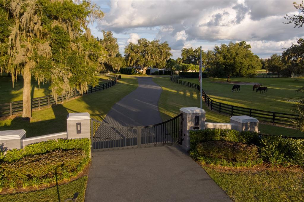 A gated entrance leads to a paved driveway flanked by fenced pastures with horses — 2875 NW 150TH AVENUE, OCALA, FL