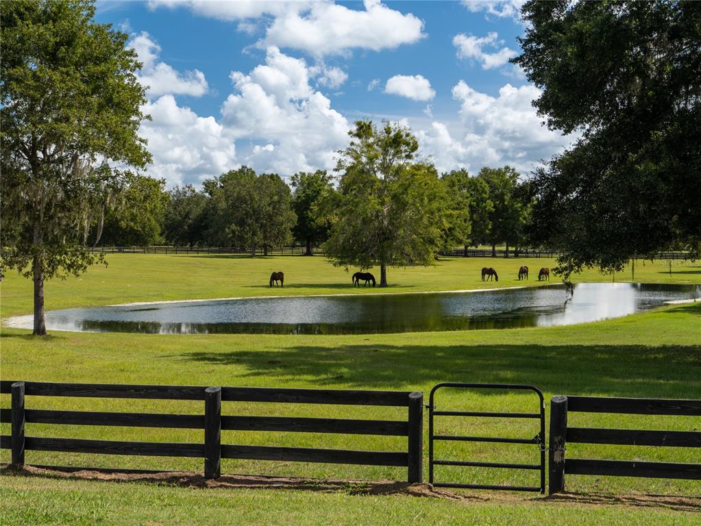 A fenced pasture features a small pond with several horses grazing near trees under clouds — 2875 NW 150TH AVENUE, OCALA, FL