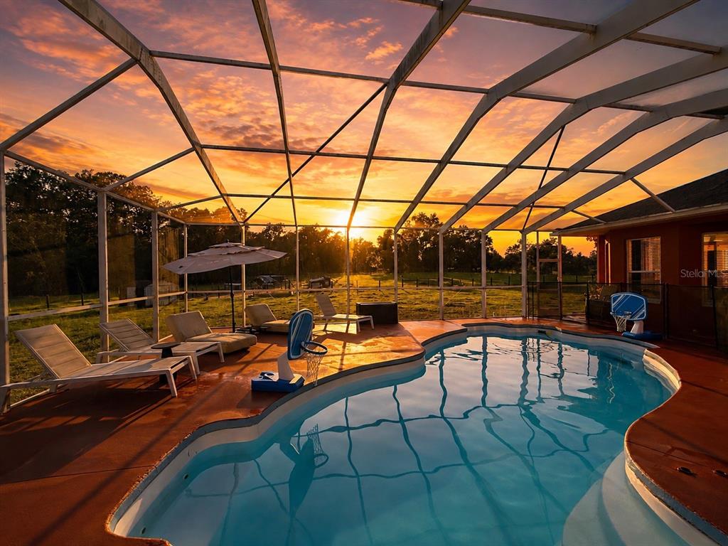 A screened-in pool area features lounge chairs and a sunset view over a grassy field — 25406 LADYHAWK LANE, BROOKSVILLE, FL