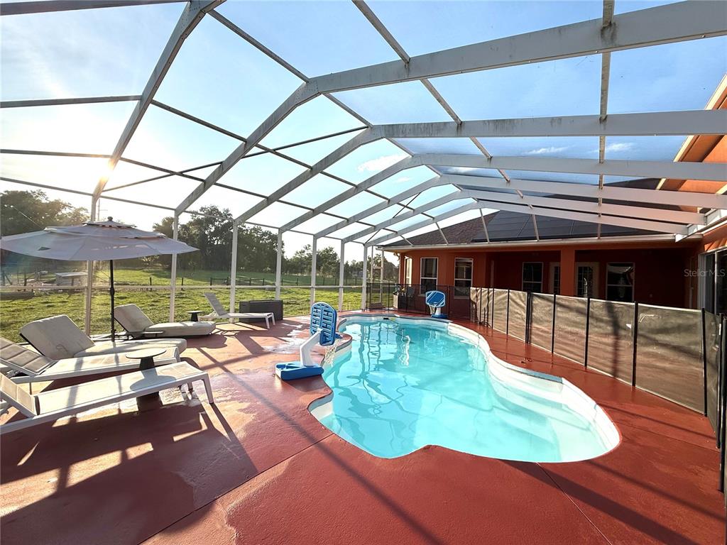 A swimming pool with a basketball hoop sits inside a screened-in patio enclosure — 25406 LADYHAWK LANE, BROOKSVILLE, FL