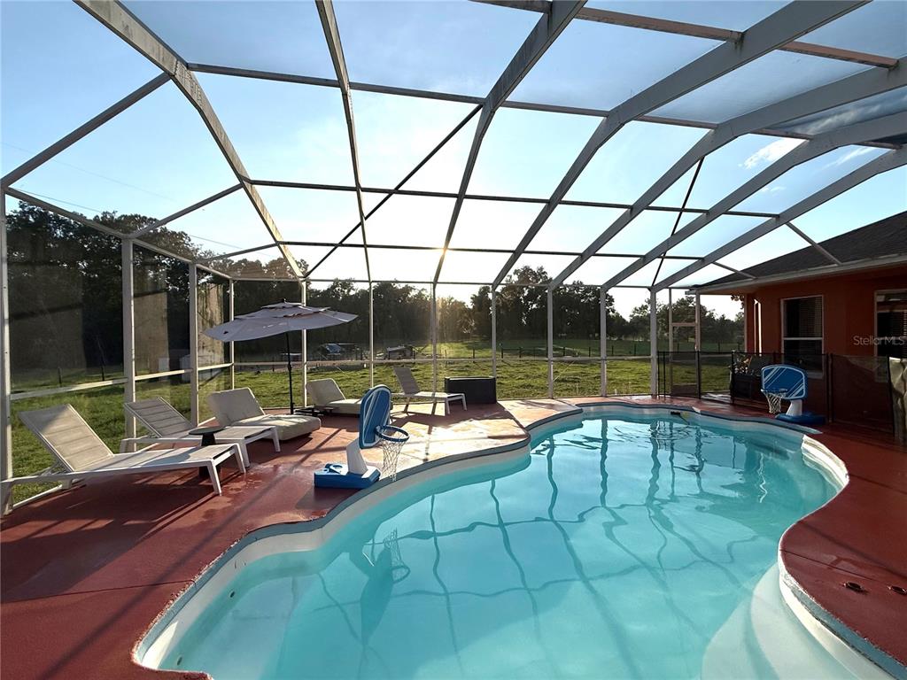 A screened-in pool patio features lounge chairs, a basketball hoop, and a view of fields — 25406 LADYHAWK LANE, BROOKSVILLE, FL
