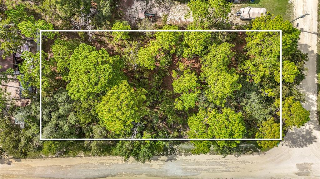 An aerial view shows a rectangular, wooded lot bordered by a dirt road — 13542 ROBIN AVENUE, WEEKI WACHEE, FL