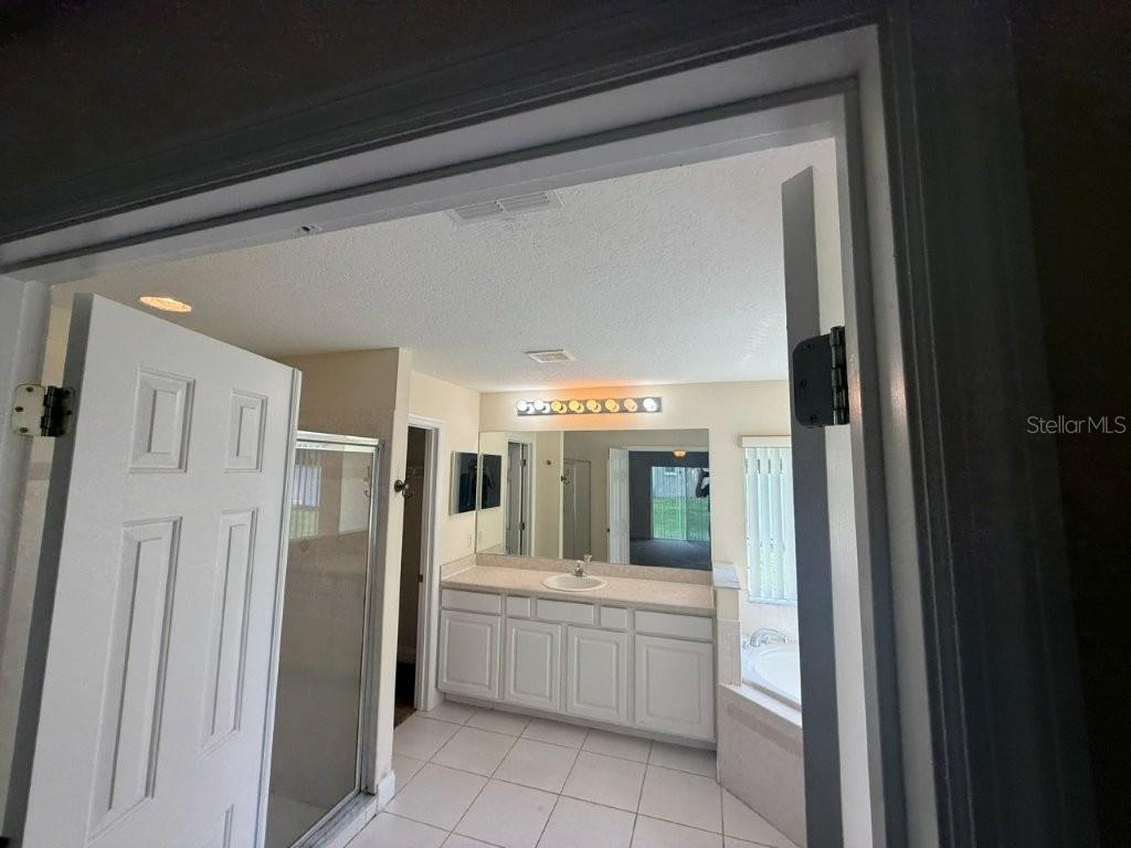 A bathroom features a white vanity with a mirror, a glass shower, and a soaking tub — 960 CHASE COURT, WINTER GARDEN, FL