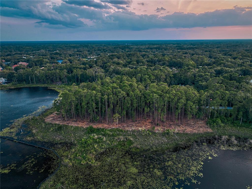 An aerial view of a wooded lot situated along the edge of a lake — 116 E GREENTREE LANE, LAKE MARY, FL