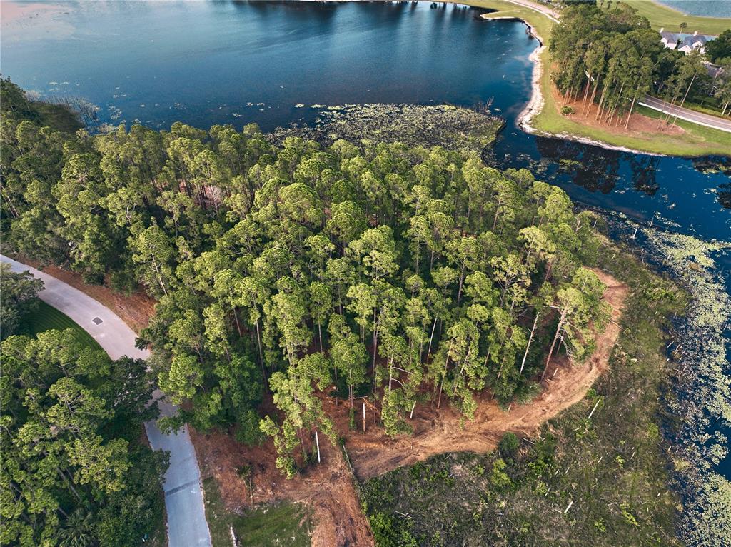 An aerial view shows a wooded lot situated between two bodies of water — 116 E GREENTREE LANE, LAKE MARY, FL