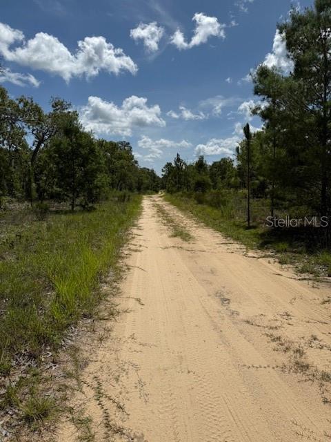 A dirt road stretches through a wooded area under a blue sky with scattered clouds — 117 S DAKOTA STREET, HAWTHORNE, FL