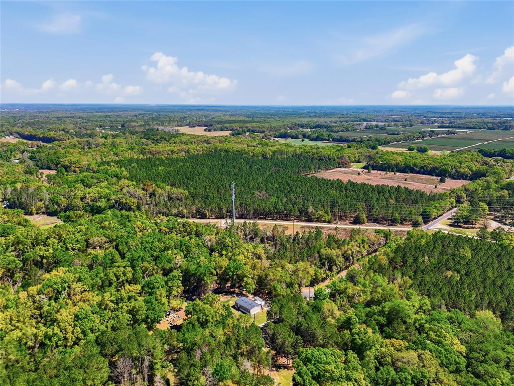An aerial view shows a house surrounded by dense forest and a nearby power line — 11791 SW 143 STREET, ARCHER, FL