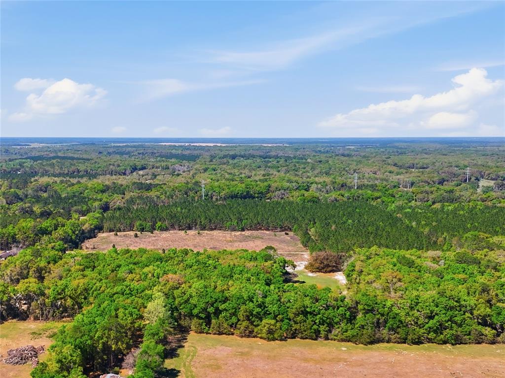 An aerial view shows a large, wooded landscape with a central clearing and power lines — 11791 SW 143 STREET, ARCHER, FL