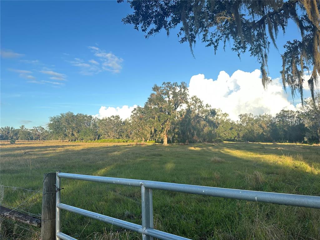 A metal gate opens to a grassy pasture with scattered trees under a blue sky — 0 POLK ROAD, WAUCHULA, FL