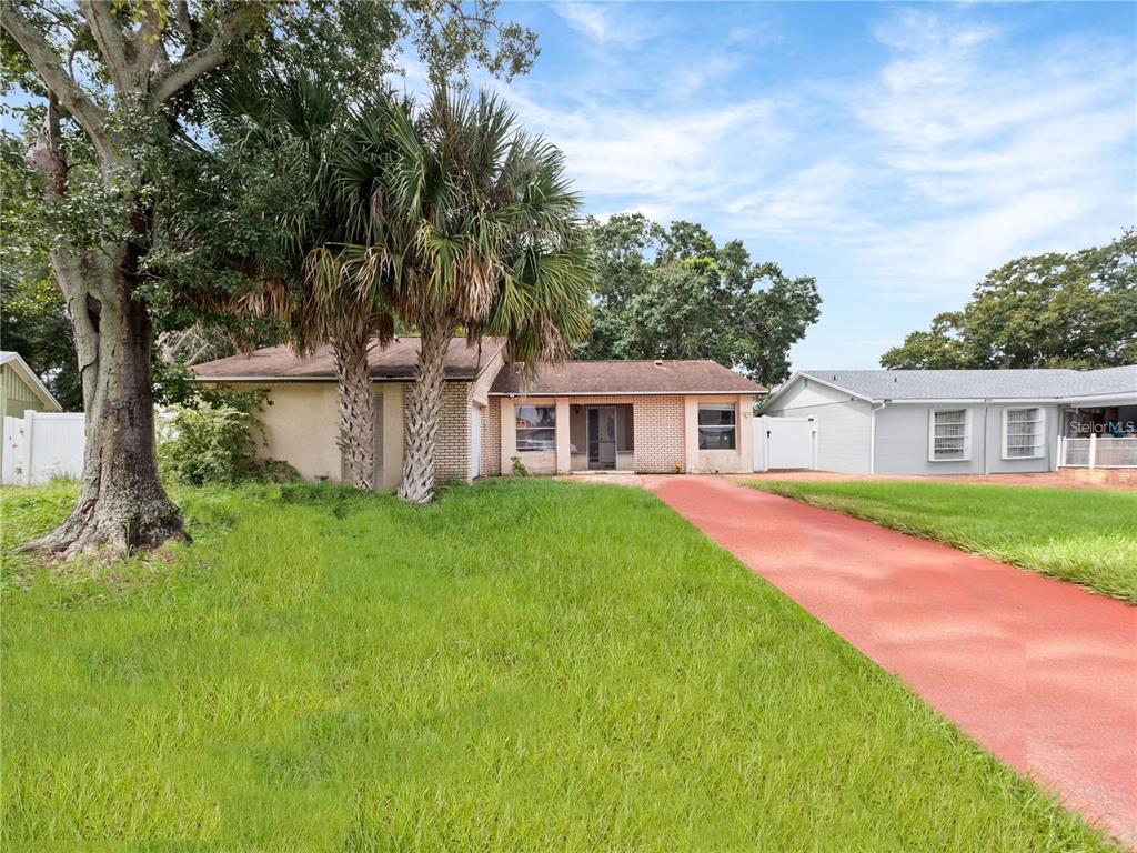 431 BALL COURT