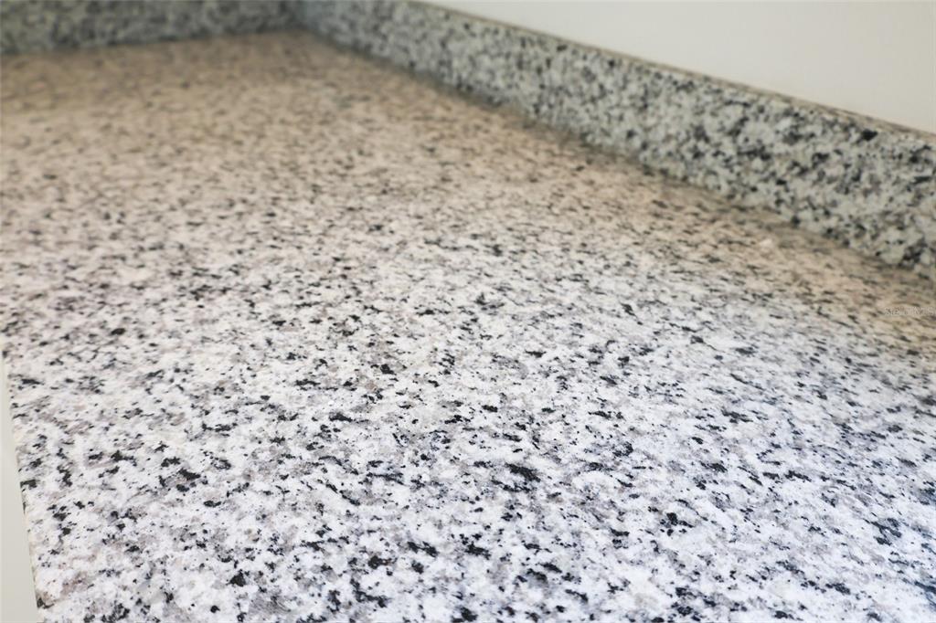 A stainless steel pull-down kitchen faucet sits on a granite countertop in front of a window — 79 W CENTRAL AVENUE, WEBSTER, FL