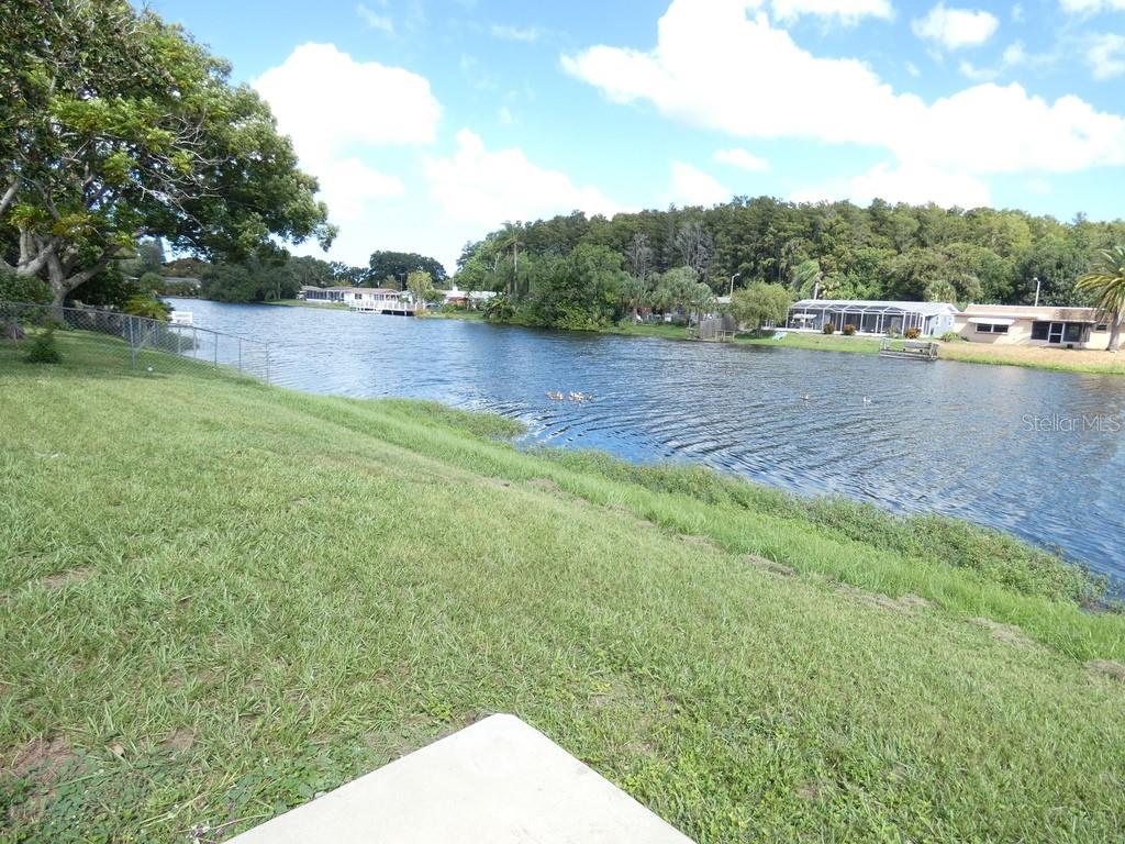 7207 ASHWOOD DRIVE, PORT RICHEY, FL — photo 2 of 29