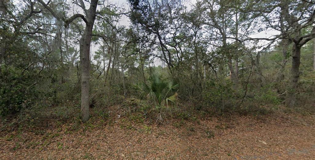 87 COURTLAND BOULEVARD, DELTONA, FL — photo 2 of 7