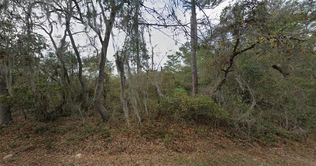 87 COURTLAND BOULEVARD, DELTONA, FL — photo 3 of 7