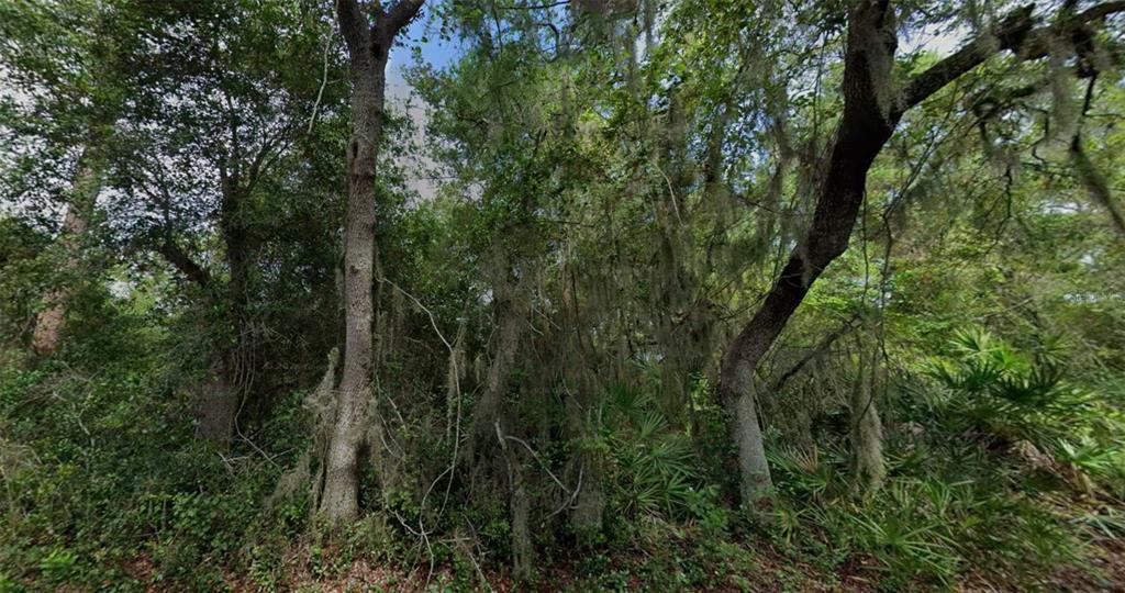 87 COURTLAND BOULEVARD, DELTONA, FL — photo 4 of 7