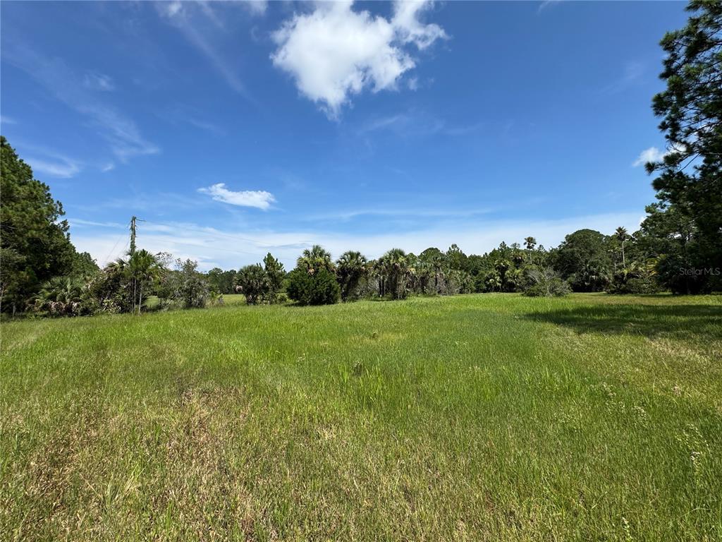 A grassy, open field is surrounded by trees under a bright blue sky — 4300 JUSTA ROAD, MIMS, FL