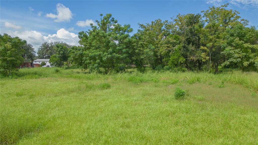 15810 COLDING LOOP, WIMAUMA, FL — photo 2 of 16