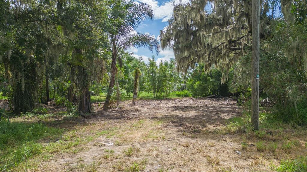 15810 COLDING LOOP, WIMAUMA, FL — photo 4 of 16