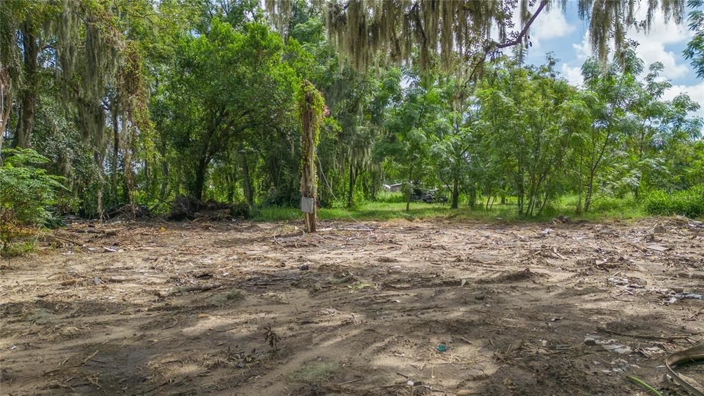 15810 COLDING LOOP, WIMAUMA, FL — photo 5 of 16