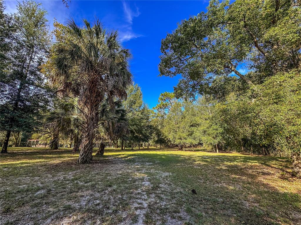 0 KURT STREET, BROOKSVILLE, FL — photo 4 of 30