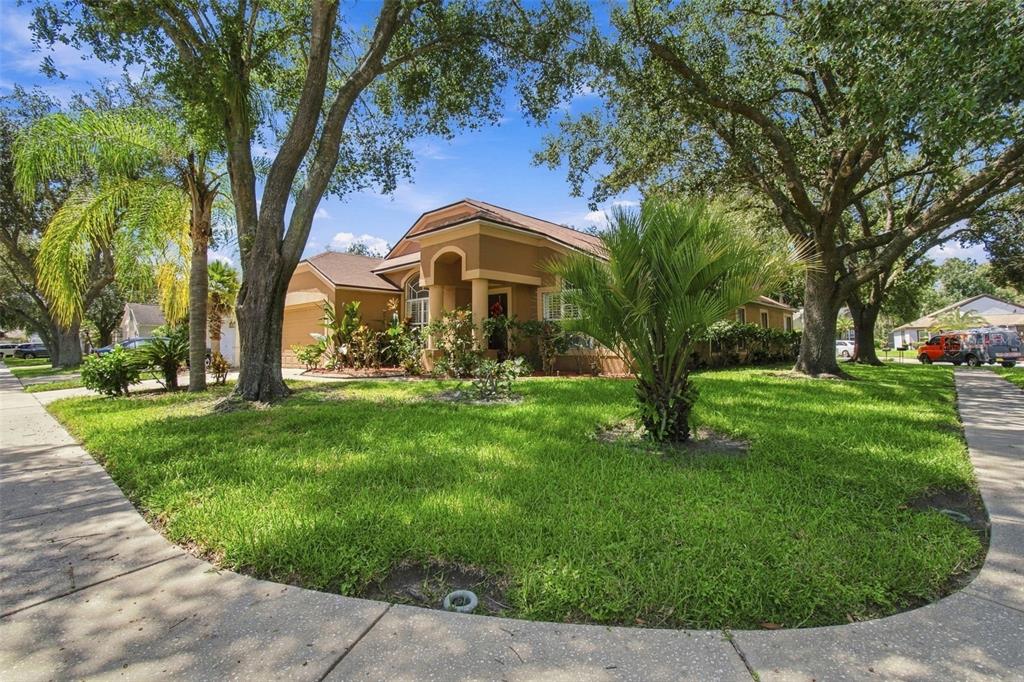 19014 SILVERBROOK DRIVE, TAMPA, FL — photo 4 of 30