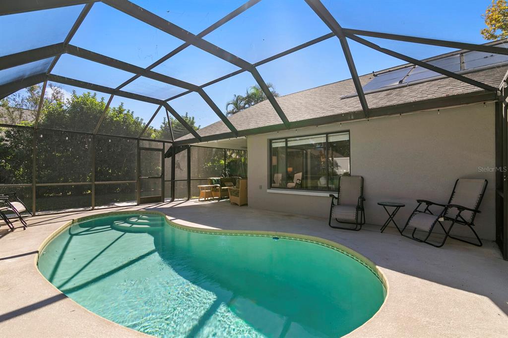 3189 PINE FOREST COURT, PALM HARBOR, FL — photo 2 of 26
