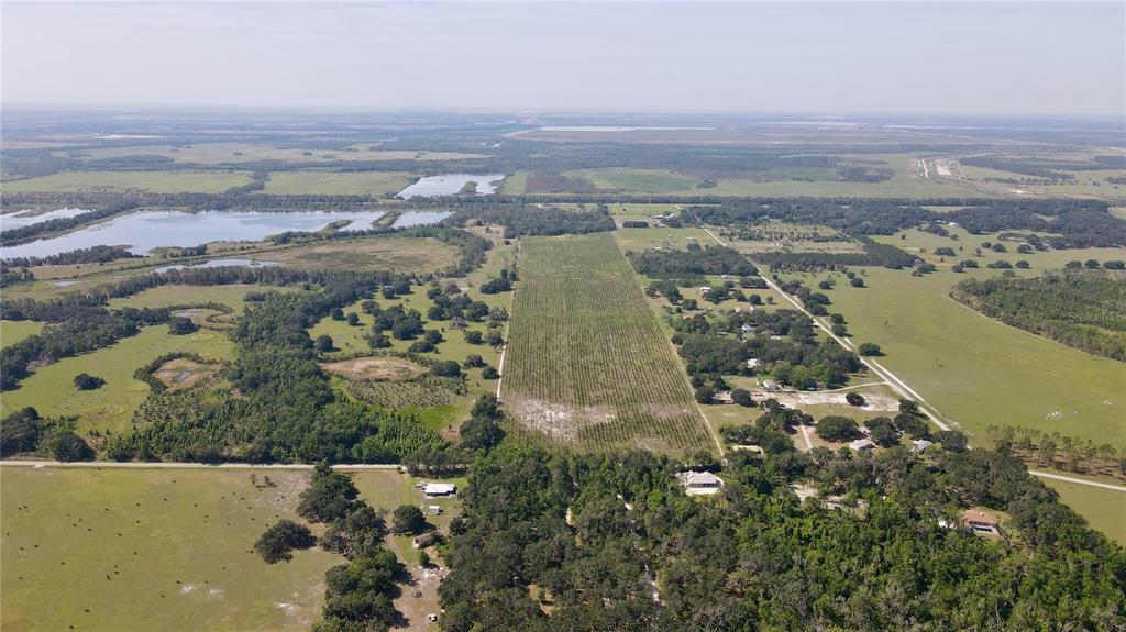 An aerial view shows a large rural property with a central grove, surrounding pastures, and trees — ALBRITTON, LITHIA, FL