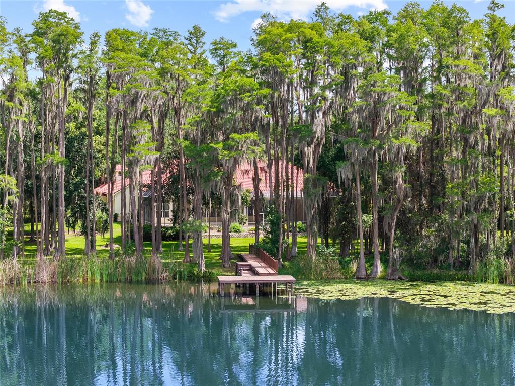 A wooden dock extends from a grassy lawn into a lake fronting a wooded house — 6800 WISTERIA LOOP, LAND O LAKES, FL