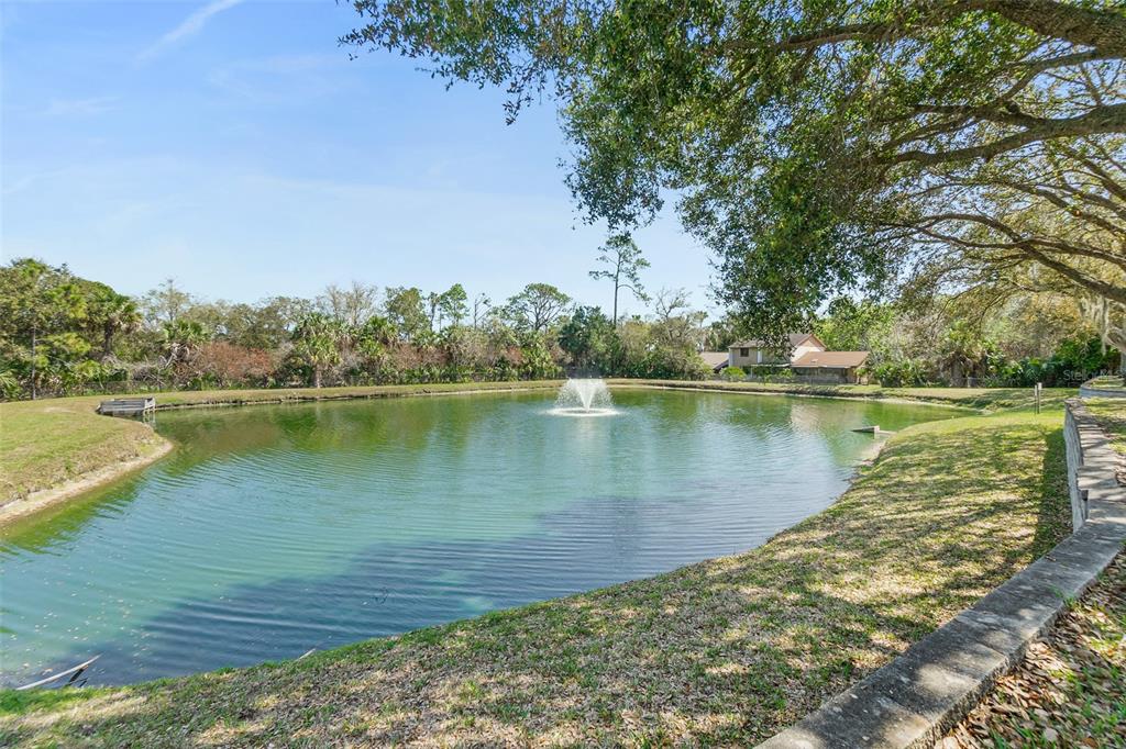 A backyard pond with a fountain is surrounded by grass and mature trees — 2001 PALM DRIVE UNIT B101, FLAGLER BEACH, FL