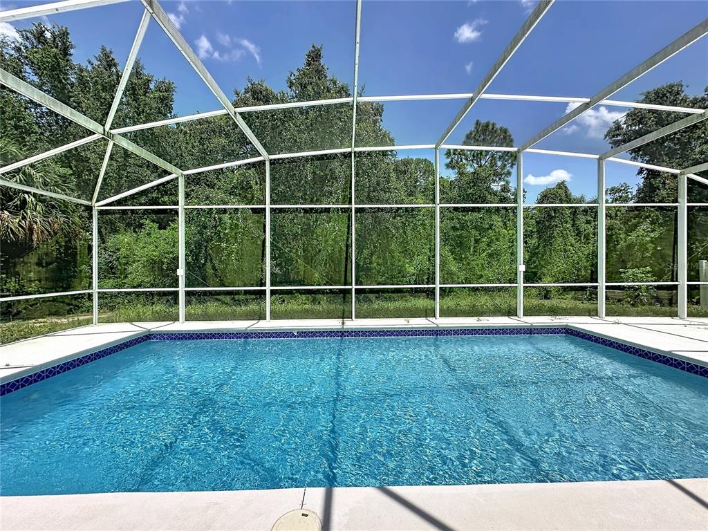 A rectangular swimming pool is enclosed by a white metal screen cage overlooking trees — 468 PINEWOOD DR, DAVENPORT, FL