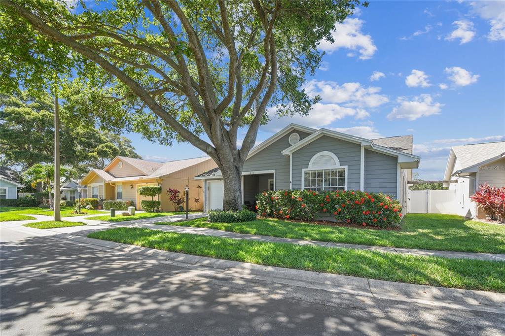 1465 CAIRN COURT, PALM HARBOR, FL — photo 2 of 30