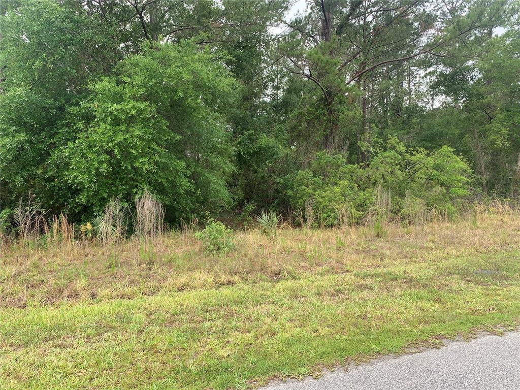 A grassy lot with scattered brush leads to a dense line of mature trees — 525 LIVE OAK LOOP, CRESCENT CITY, FL