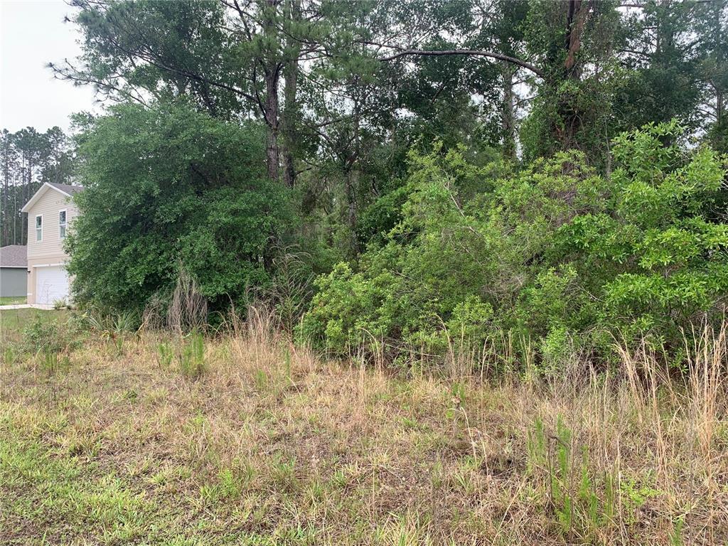 A view of a grassy, overgrown lot adjacent to a two-story residential house — 525 LIVE OAK LOOP, CRESCENT CITY, FL