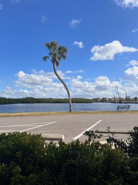 A single palm tree stands near a parking lot overlooking a body of water — 611 DESTINY DRIVE UNIT 115, RUSKIN, FL