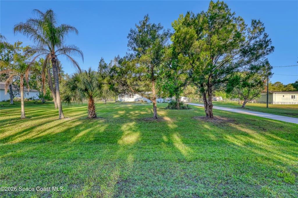A grassy yard features several palm and deciduous trees under a clear blue sky — 2540 TUSCANY DRIVE, MIMS, FL