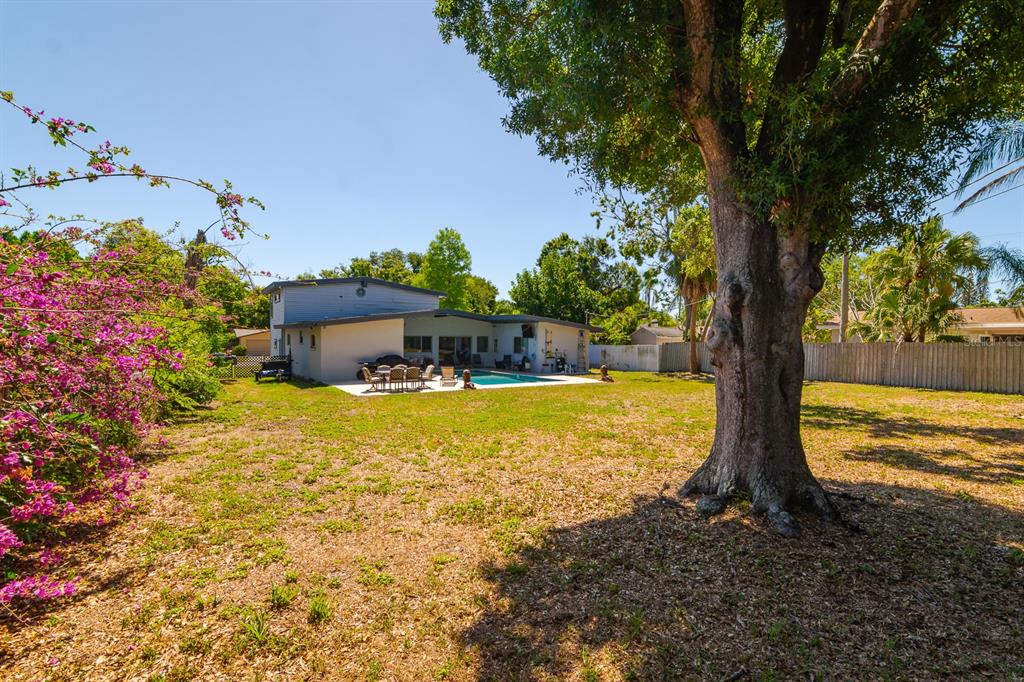 A backyard with a large tree, a swimming pool, and a patio area behind a house — 1424 S EVERGREEN AVENUE, CLEARWATER, FL